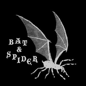 Bat & Spider